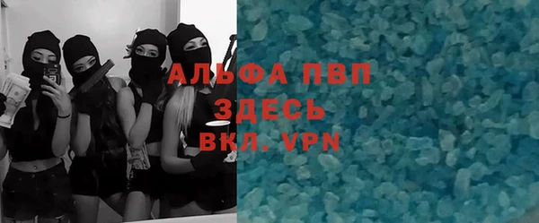 стаф Белокуриха