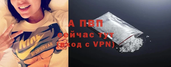 стаф Белокуриха