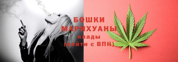 стаф Белокуриха