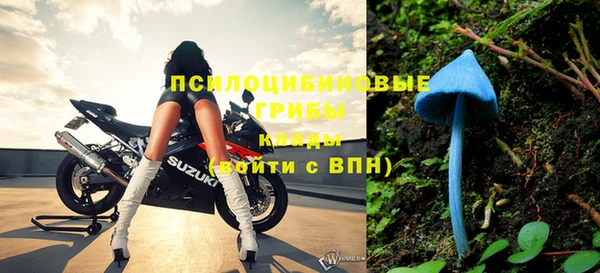 стаф Белокуриха