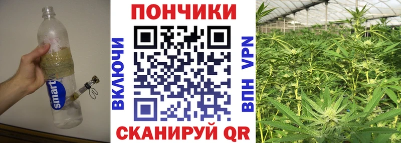 Бошки Шишки OG Kush  наркошоп  Нарткала 